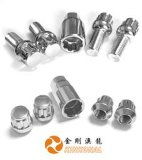 金剛澳龍公司 創(chuàng)新汽車附件的研發(fā)與批發(fā)